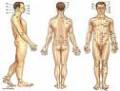 2nd Acupuncture - acupuncture articles