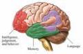 Alzheimers Symptom - Learn all about alzheimers and its symptoms.