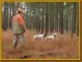 Hunting Gear - Learn all about hunting and its many different types of hunting gear.