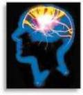 Improve Memory - Healthy Body Healthy Mind